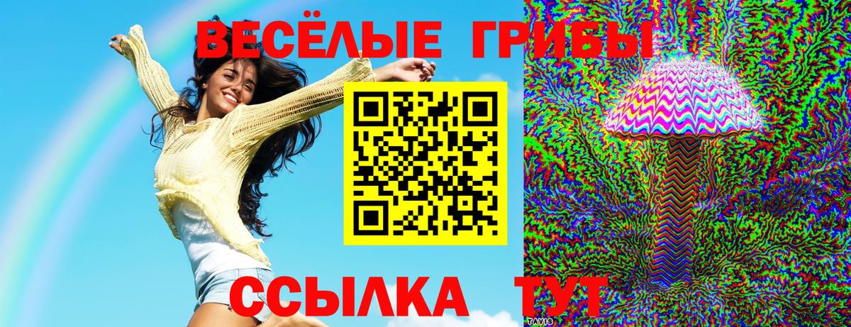 Галлюциногенные грибы MAGIC MUSHROOMS Братск