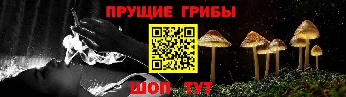 Братск  Псилоцибиновые грибы Cubensis  Галлюциногенные грибы прущие грибы  Вход с VPN 